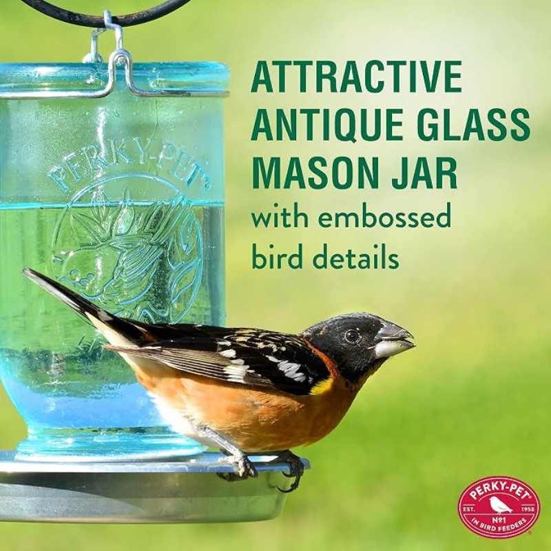 Bird perched on an attractive antique glass mason jar with embossed bird
