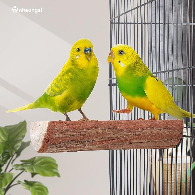 Two green parakeets perched on a wooden perch inside a birdcage.