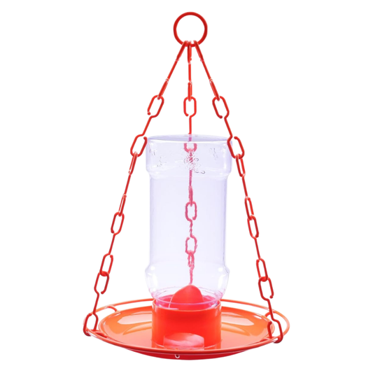 A red metal hanging bird feeder with a clear cylindrical cup 
