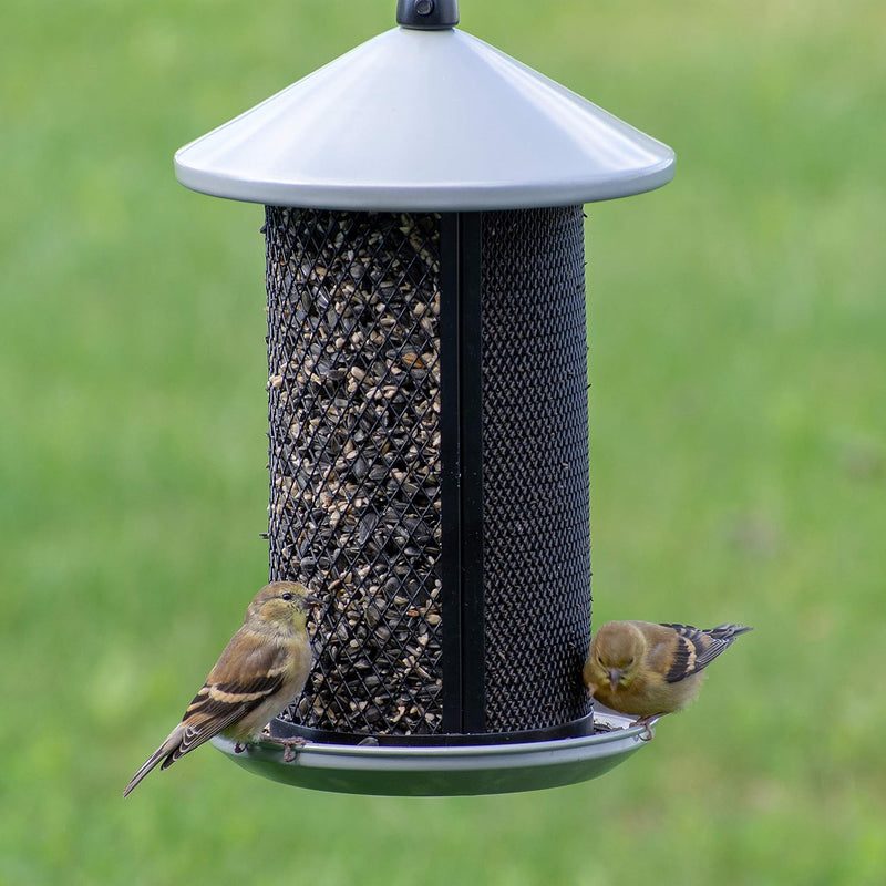 Bird feeder with two birds on a green background