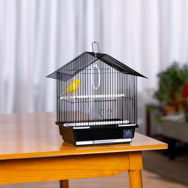 Black bird cage with a yellow parakeet on a wooden table against a white curtain background