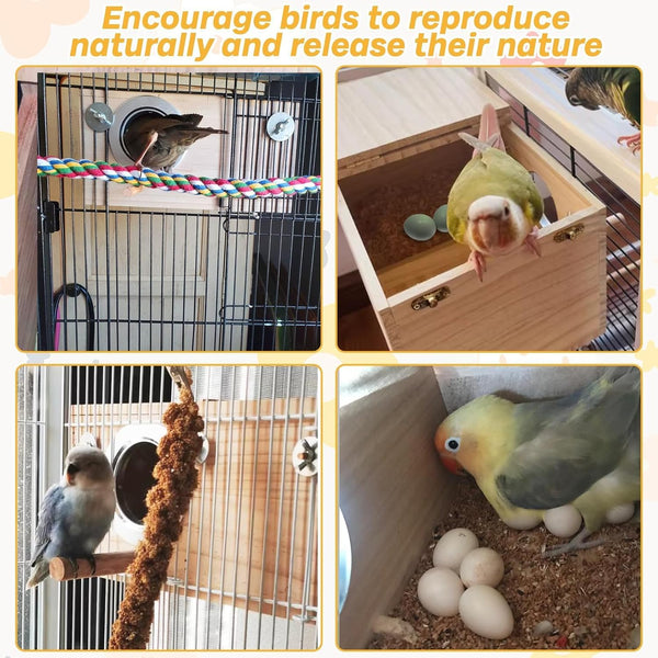 Collage of a parrot in various settings with text encouraging natural reproduction.