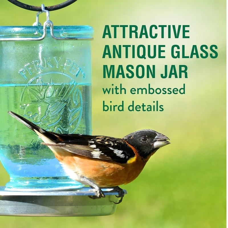 Glass Mason Jar Hanging Wild Bird Waterer 32 oz