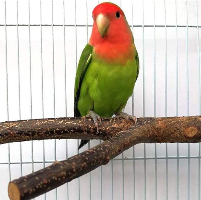 Green parrot with red face perched on a branch inside a cage.