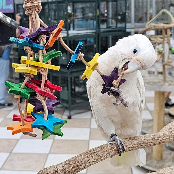 White parrot playing with a colorful wooden toy in an indoor setting